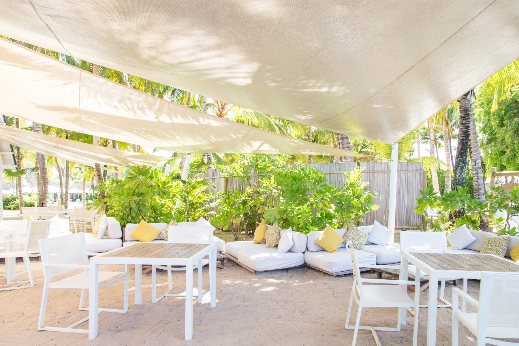 The Ravenala Attitude